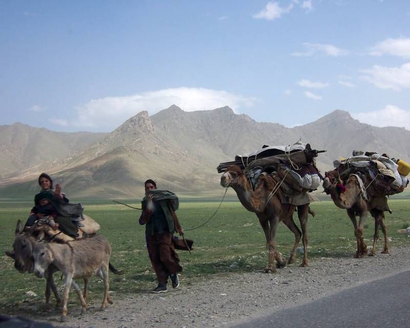 Afghan family & camels on the way to Bagram